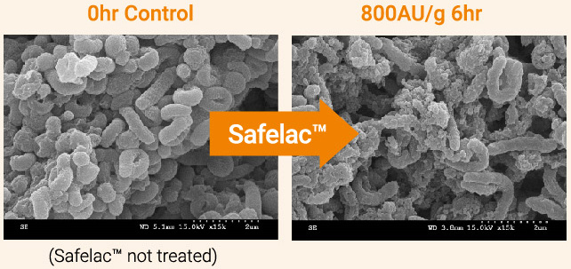 Safelac™ 使用前後