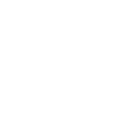 魚