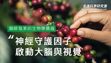 啟動大腦與視覺的神經守護因子：咖啡莓果的生物學價值