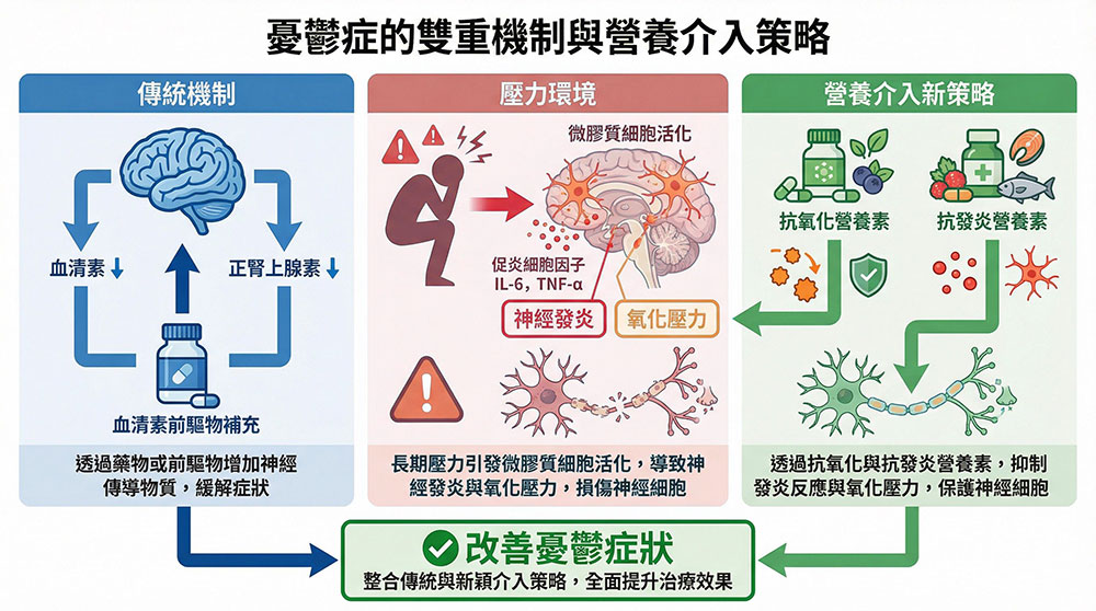 憂鬱的生理機制：從「神經傳導」到「神經發炎」