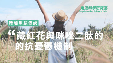 跨越單胺假說 (Monoamine Hypothesis)：簡述藏紅花與咪唑二肽的抗憂鬱機制 憂鬱症 (Depression) 的全球威脅與現況