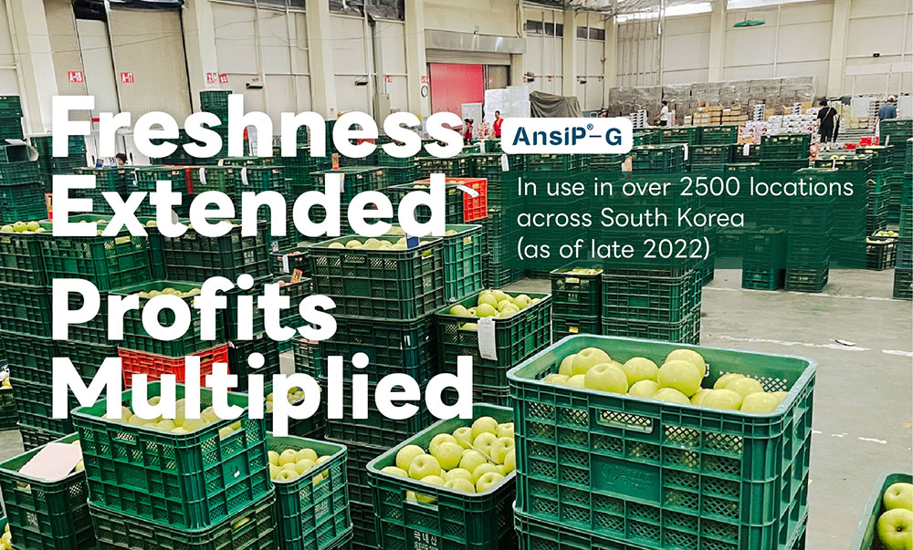 In-Depth Visit to Korea: Understanding How “AnsiP-G” Is Used For Extending Shelf Life of Fruits and Vegetables