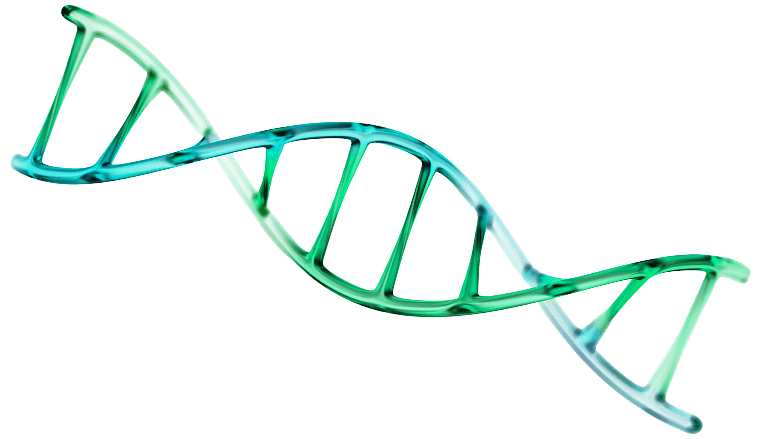 DNA