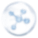 cell