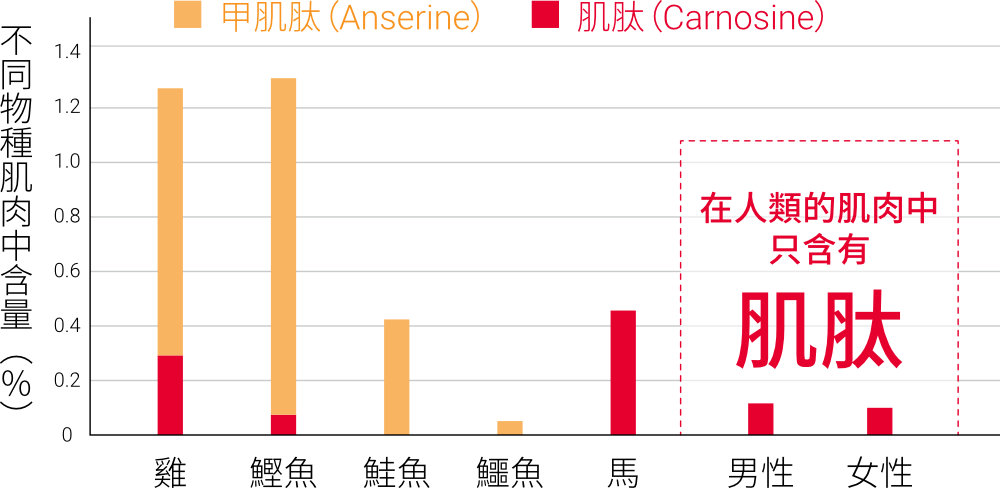 不同物種肌肉中咪唑雙胜肽含量