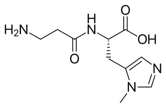 甲肌肽（Anserine）