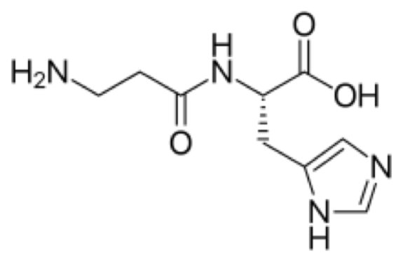 肌肽（Carnosine）