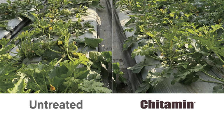 ALL_agriculturematerial_26F11_8a0yAvDsWh