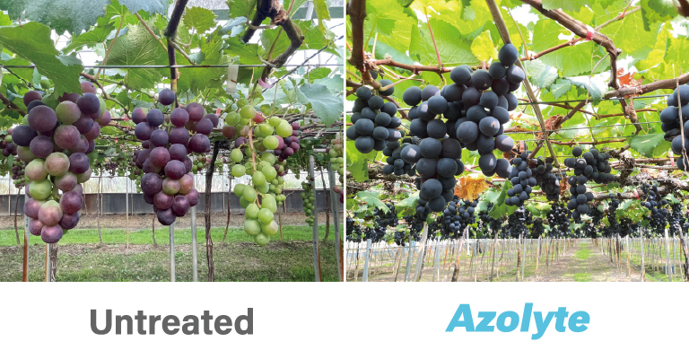 ALL_agriculturematerial_26F11_vLwhK4zpOj