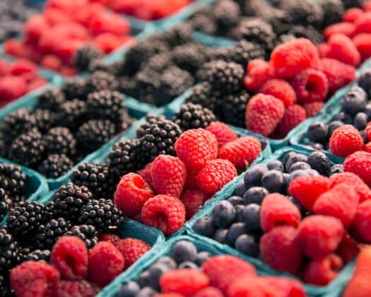 Bio-Active Ingredients