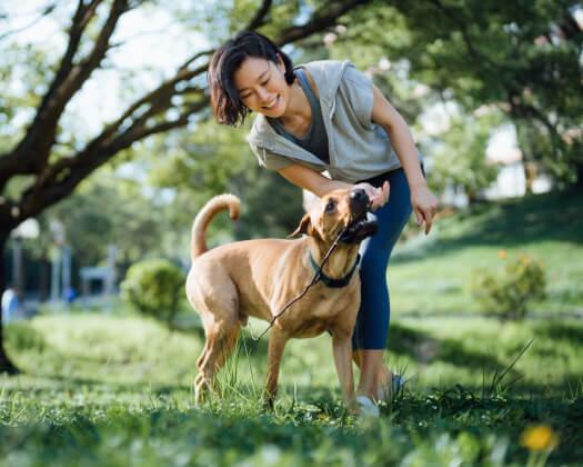 Pet Care R&D