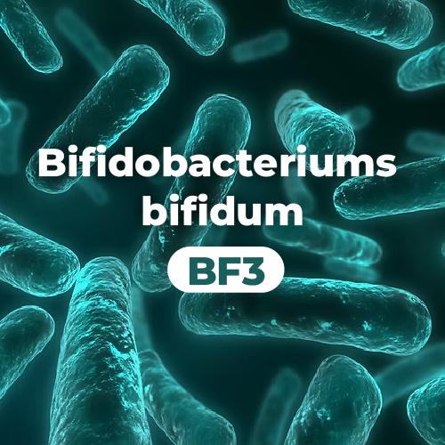 LAB2PRO™  比菲德氏雙叉雙歧桿菌 Bifidobacteriums bifidum (BF3)