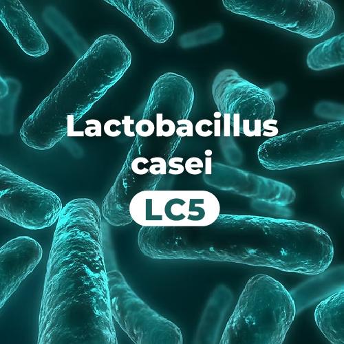 LAB2PRO™  乾酪乳桿菌 Lactobacillus casei (LC5)