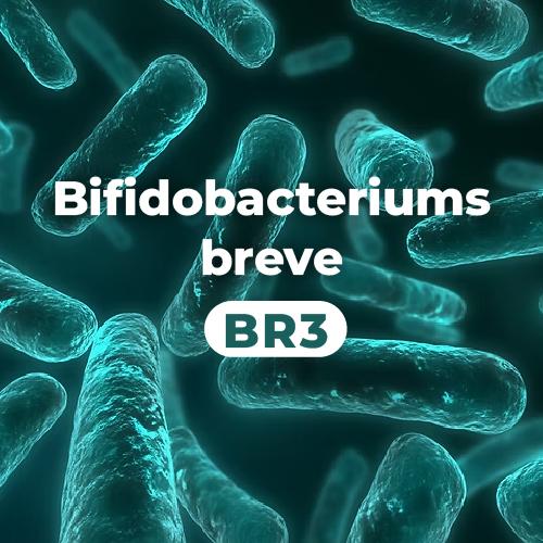 LAB2PRO™ 比菲德氏菌 Bifidobacteriums breve (BR3)
