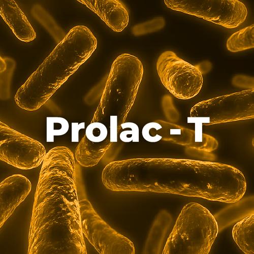 Prolac-T 專利乳酸菌素(後生元) Postbiotics