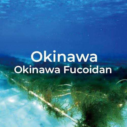 專利海蘊褐藻醣膠萃取物 Okinawa Mozuku Fucoidan Extract