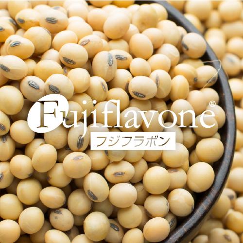 Fujiflavone® P10 專利大豆萃取物 Soy extract
