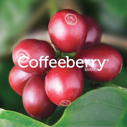 Coffeeberry®  專利咖啡莓果萃取物 Coffeeberry extract