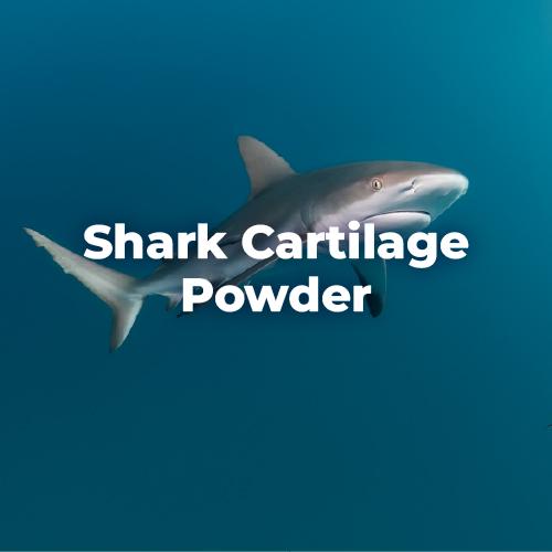 美國鯊魚軟骨粉 Shark Cartilage Powder