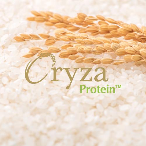 ORYZA CERAMIDE™ 專利玄米萃取物 Rice Extract