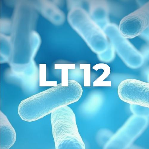 專利副乳酪乳桿菌 LT12 Lactobacillus paracasei LT12