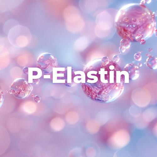 P-mucolla® 日本木可菈專利豚來源 II 型膠原蛋白胜肽 Collagen (Type II)