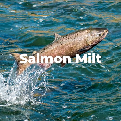 專利鮭魚精巢萃取物 (DNA-Na) Salmon Milt Extract