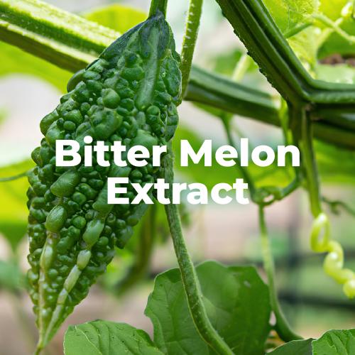 台灣有機山苦瓜萃取物 Bitter Melon Extract