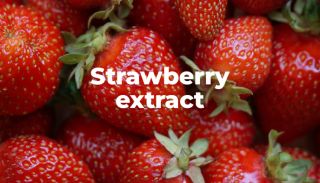 ALL_functionalfood_26F08_egUX1xEcJt