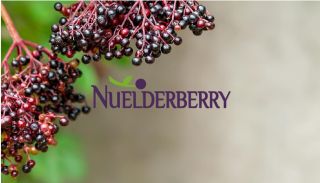 ALL_functionalfood_26F25_KHYdXWeB0D