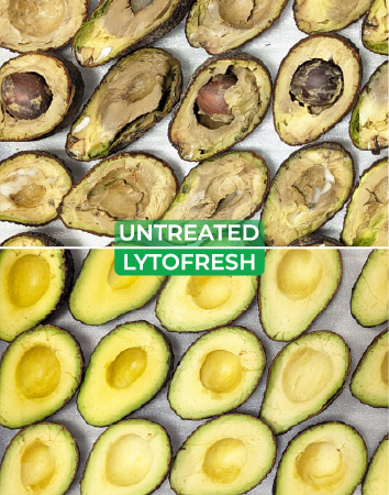 Avocado ripening and internal quality validation