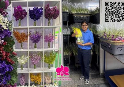FLORAL DAILY｜Thai orchids: Elevating quality with LytoFresh for global recognition