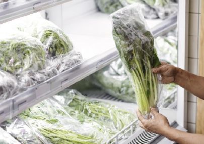 Introduction to the Preservation of Global Agricultural Product Exports: The Real Cost of Export Losses