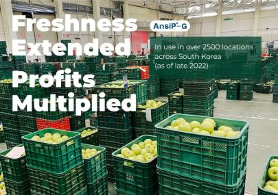 Deep Dive in South Korea: Exploring Field Success and Grower Insights with AnsiP-G® Fresh Produce Preservation