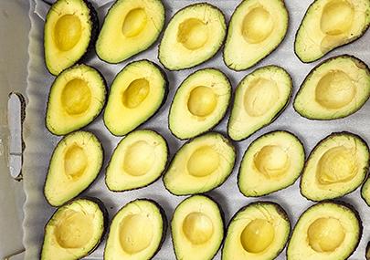 FRUITNET｜LytoFresh Protocol from Lytone Enterprise creates new potential in the avocado business