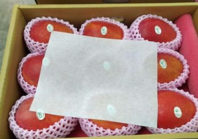 FRUITNET｜We are ready to share our postharvest freshness solution directly with apple producers