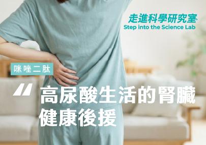 咪唑二肽在高尿酸環境下的腎部防禦機制