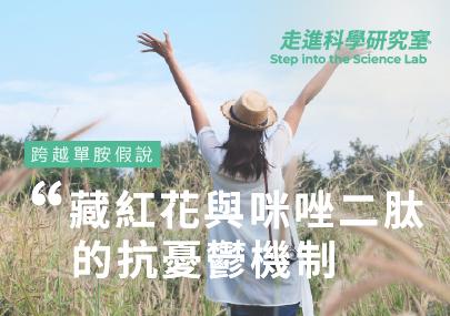 跨越單胺假說 (Monoamine Hypothesis)：簡述藏紅花與咪唑二肽的抗憂鬱機制 憂鬱症 (Depression) 的全球威脅與現況