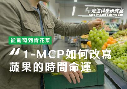 從葡萄到青花菜：1-MCP 如何改寫蔬果的「時間命運」