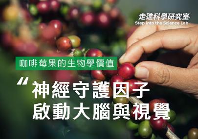 啟動大腦與視覺的神經守護因子：咖啡莓果的生物學價值