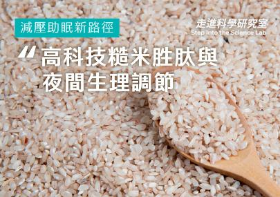 除了補充色胺酸與GABA，「減壓助眠」的新路徑：高科技「糙米胜肽」與夜間生理調節