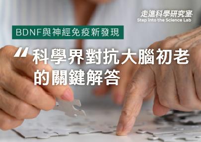 科學界對抗大腦初老的關鍵解答：BDNF與神經免疫新發現